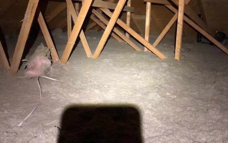 Blown-in-attic-insulation (11)